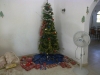 le sapin